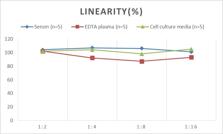 Mouse CXCL6/GCP-2 ELISA Kit (Colorimetric)