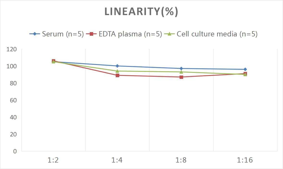 Mouse IgA ELISA Kit (Colorimetric)