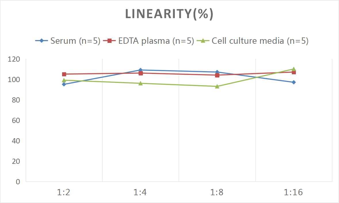 Mouse IgA ELISA Kit (Chemiluminescence)