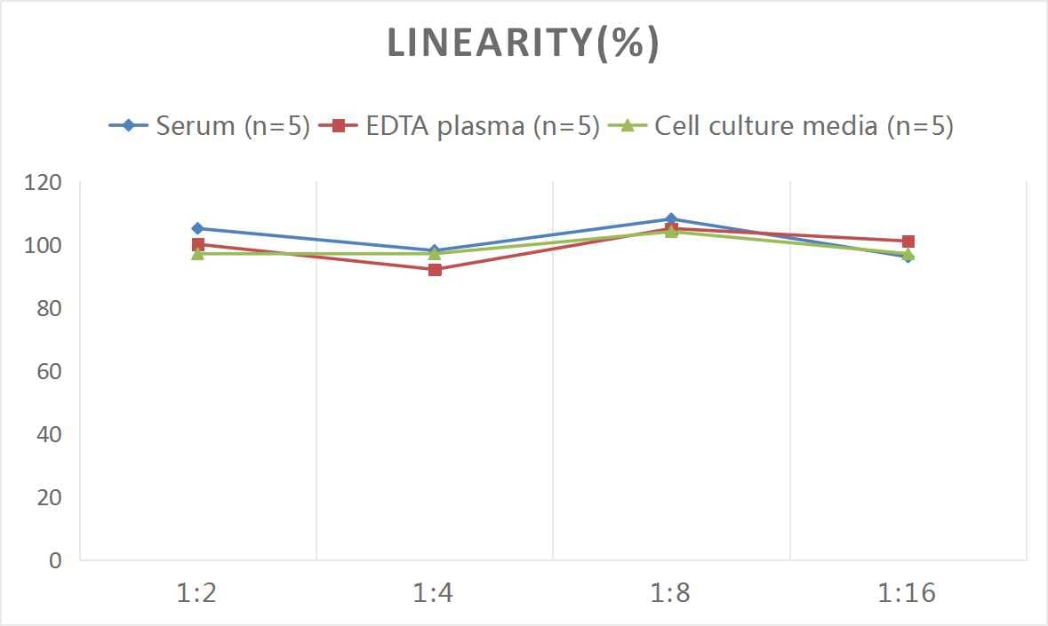 Mouse IgG ELISA Kit (Chemiluminescence)