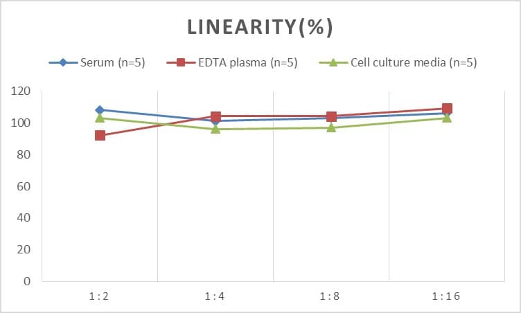 Mouse IgG1 ELISA Kit (Chemiluminescence)