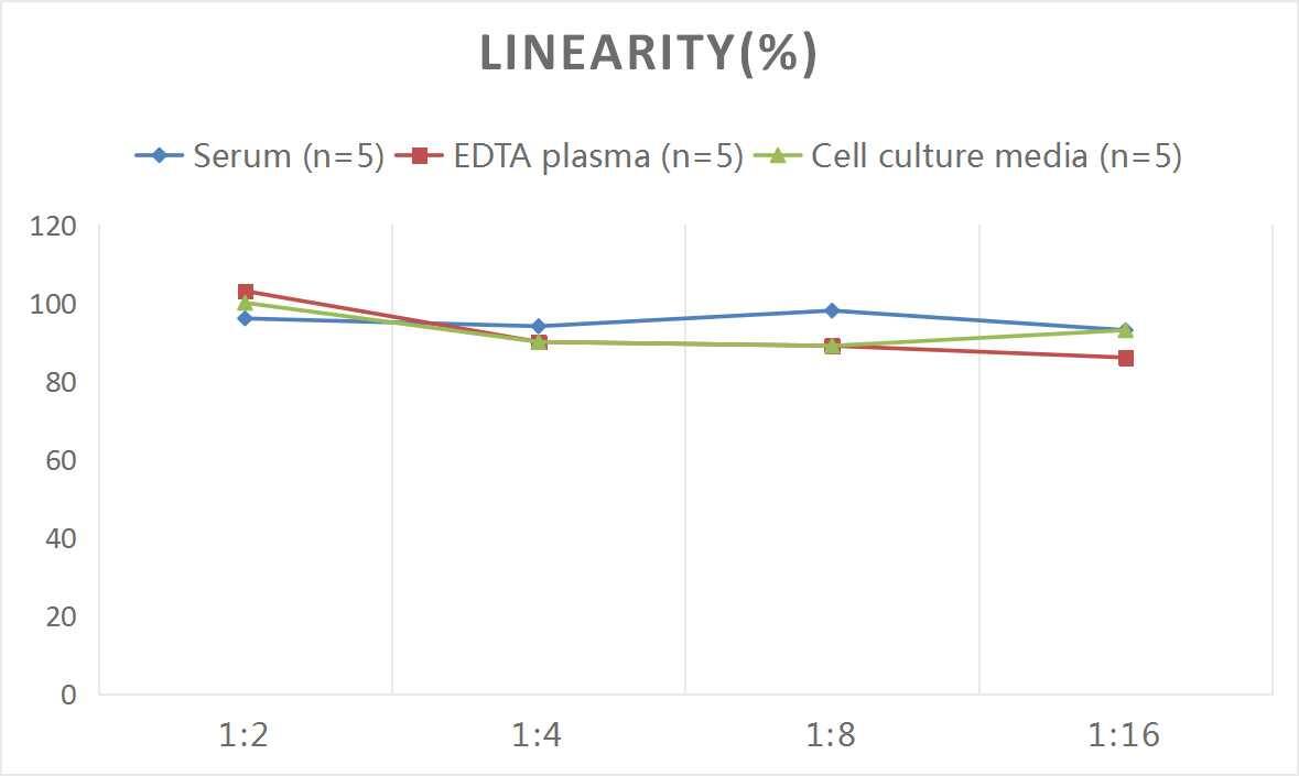 Mouse IgG2a ELISA Kit (Colorimetric)