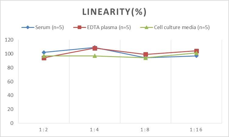 Mouse IgG2a ELISA Kit (Chemiluminescence)