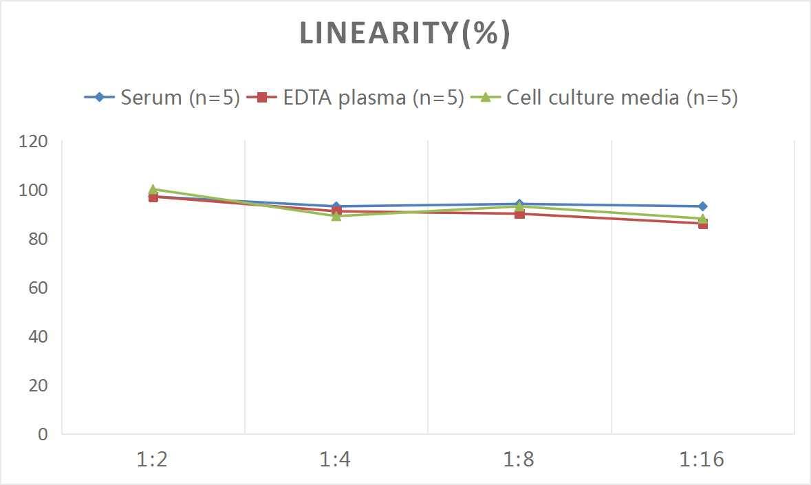 Mouse POMC ELISA Kit (Colorimetric)