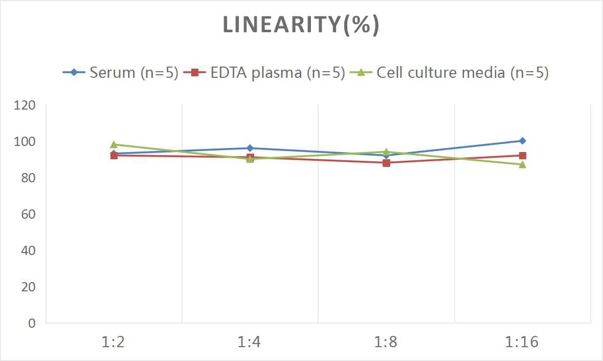 Mouse Perforin ELISA Kit (Colorimetric)