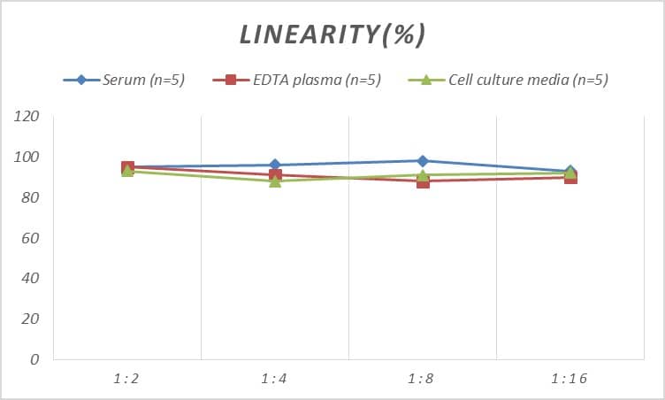 Mouse RAR beta/NR1B2 ELISA Kit (Colorimetric)