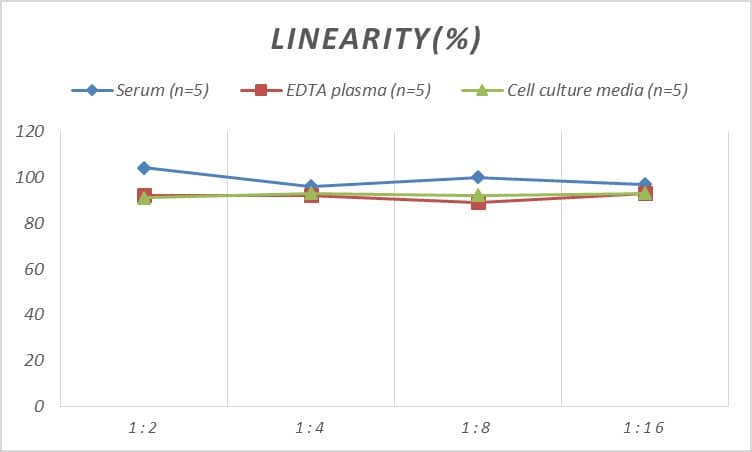 Mouse RAR gamma/NR1B3 ELISA Kit (Colorimetric)