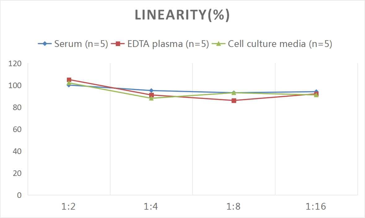 Mouse alpha 1-Microglobulin ELISA Kit (Colorimetric)