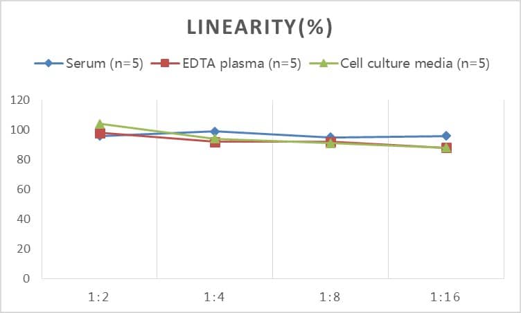 Rabbit IgA ELISA Kit (Colorimetric)