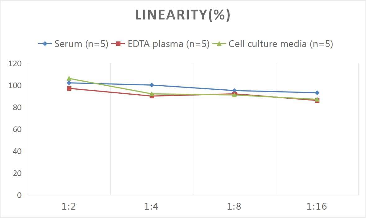 Rat Cathepsin K ELISA Kit (Colorimetric)