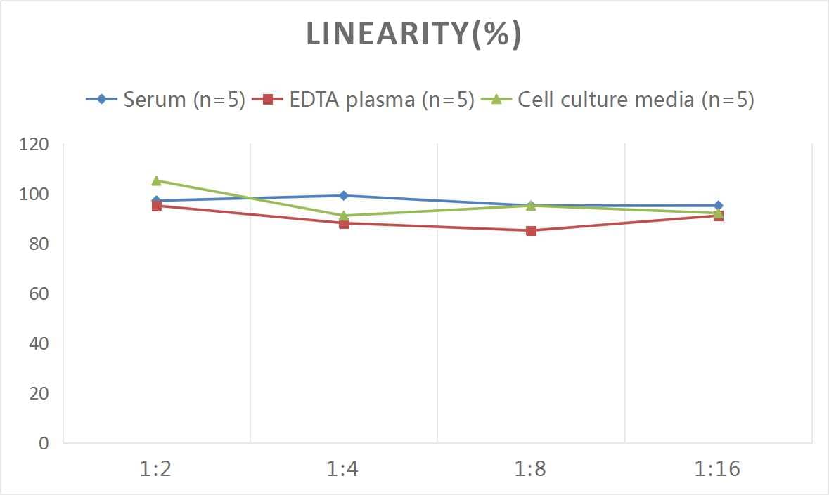 Rat PTGER2 ELISA Kit (Colorimetric)