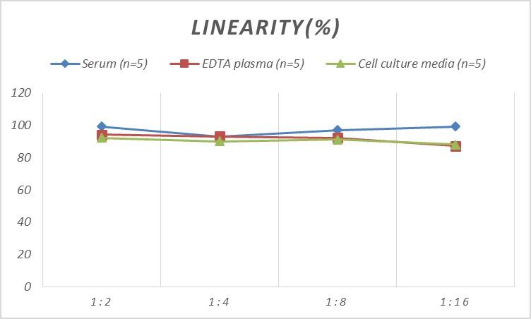 Rat FCER1G ELISA Kit (Colorimetric)