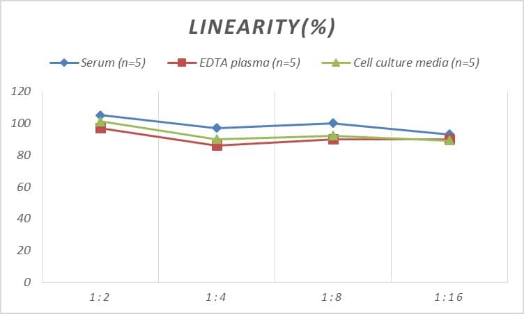 Rat Galectin-8 ELISA Kit (Colorimetric)