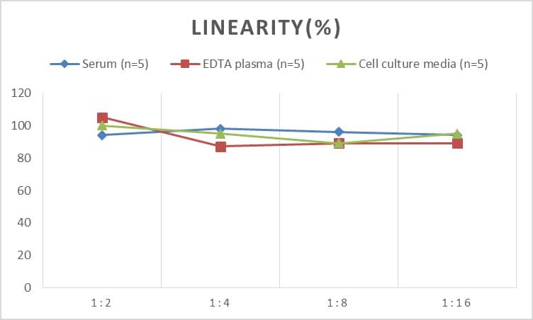 Rat GATA-1 ELISA Kit (Colorimetric)