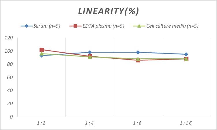 Rat GATA-5 ELISA Kit (Colorimetric)