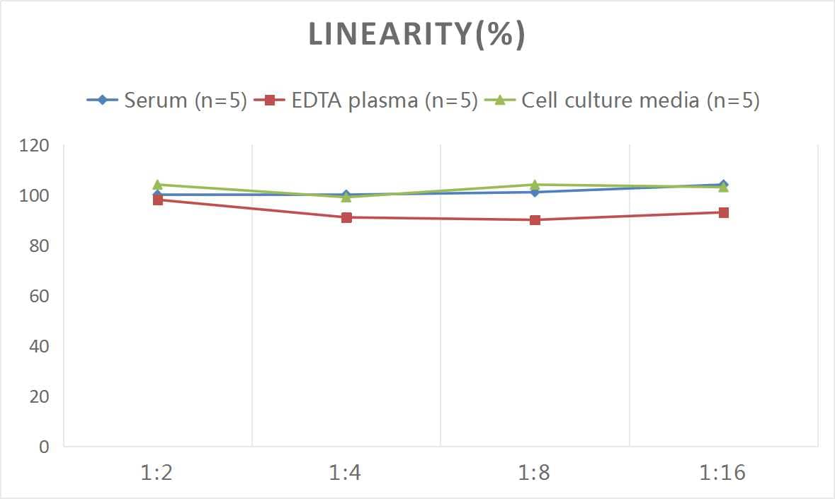 Rat IgG ELISA Kit (Colorimetric)