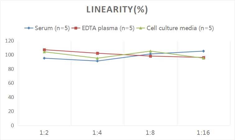 Rat IgG ELISA Kit (Chemiluminescence)