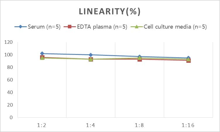 Rat IgG2a ELISA Kit (Colorimetric)