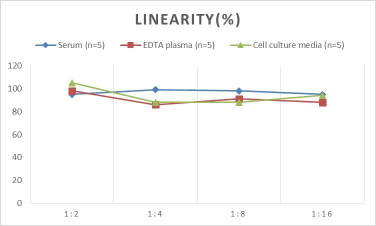 Rat IgG2b ELISA Kit (Colorimetric)