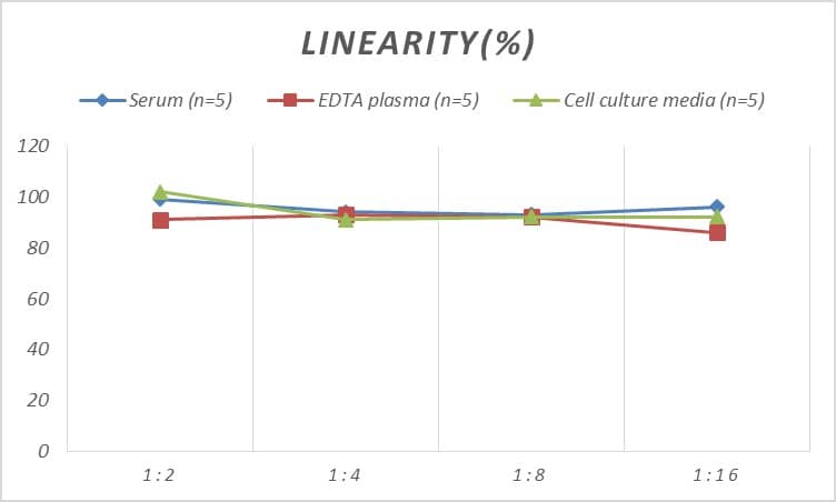 Rat LIPC ELISA Kit (Colorimetric)