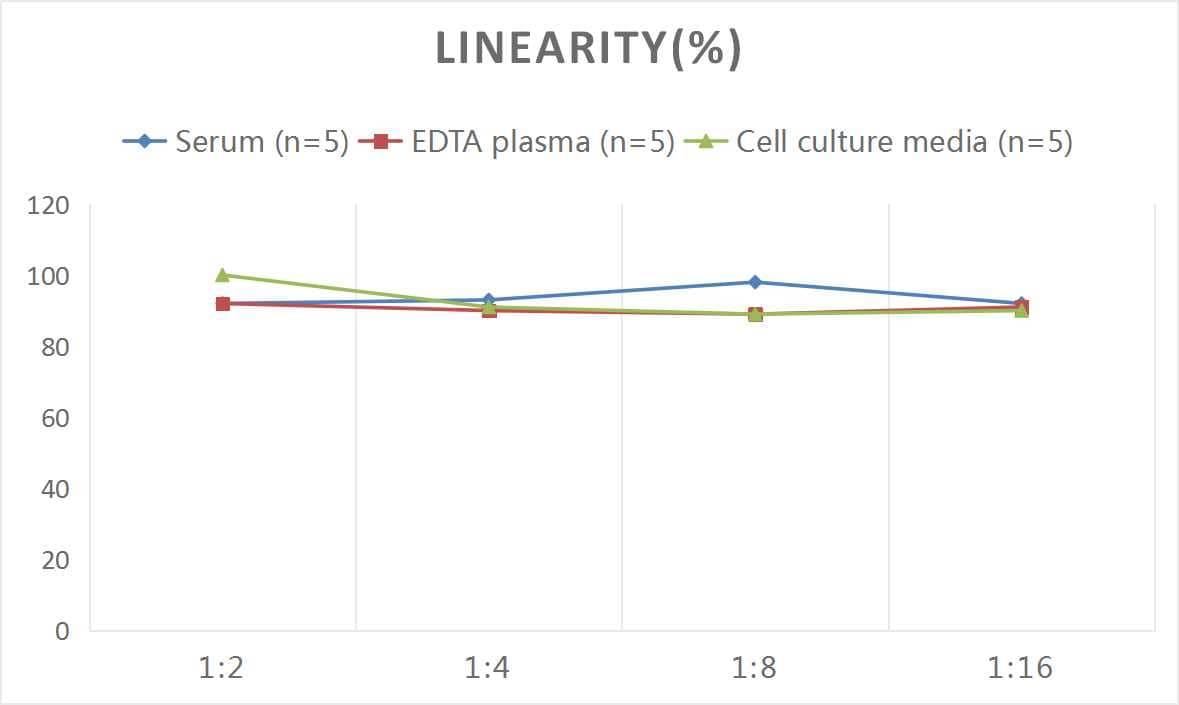 Rat LRP-1 ELISA Kit (Colorimetric)