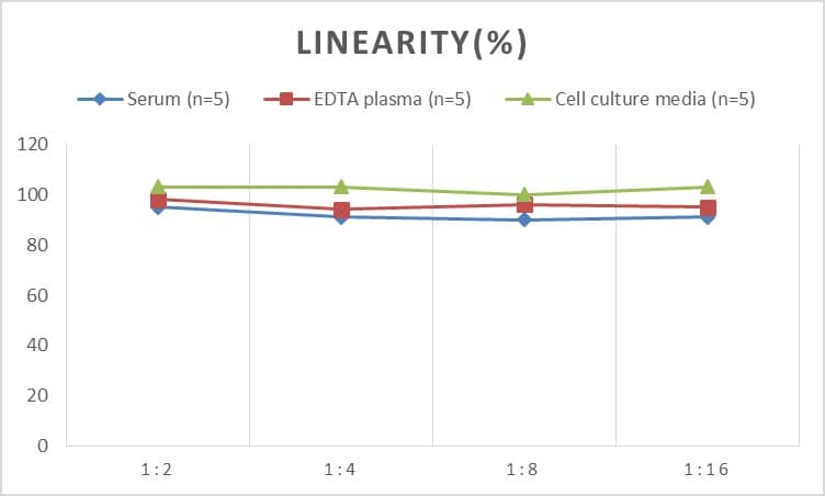 Rat Nociceptin ELISA Kit (Colorimetric)