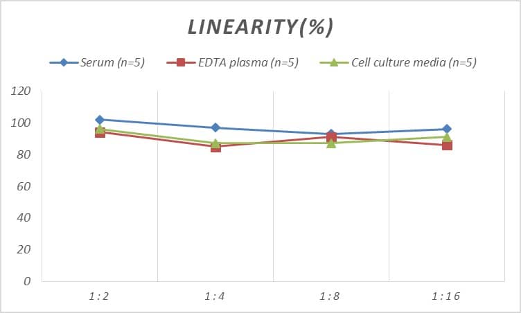 Rat Perforin ELISA Kit (Colorimetric)