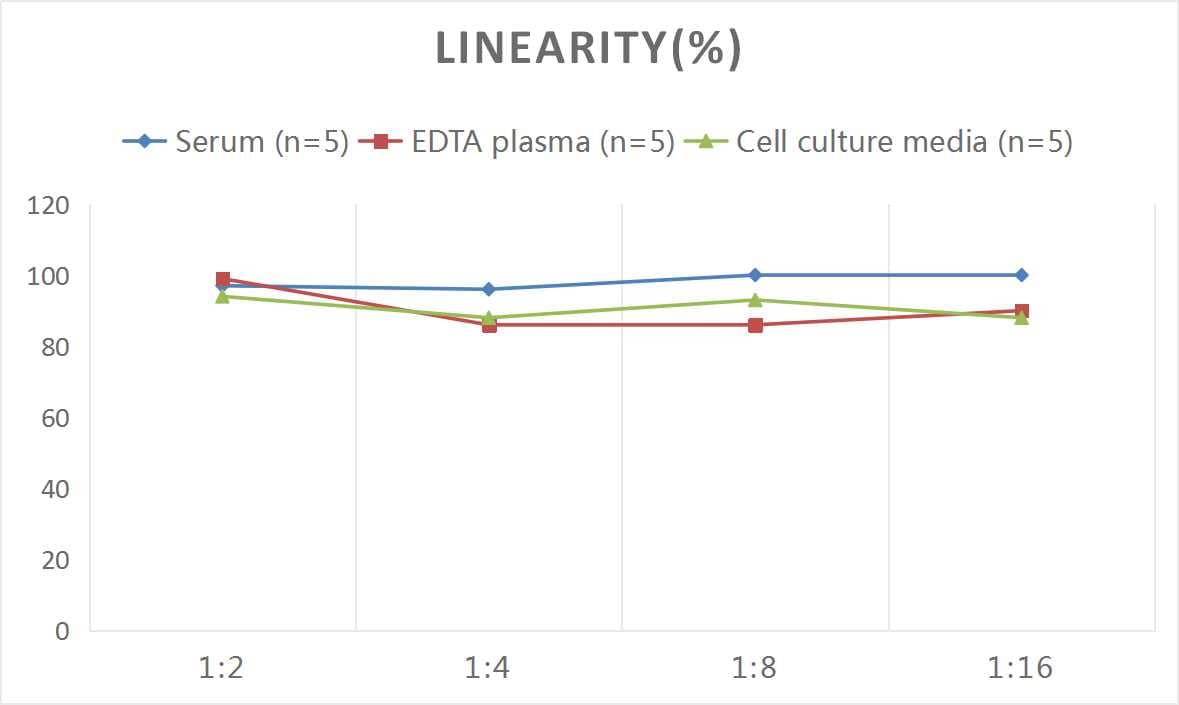 Rat alpha 1-Microglobulin ELISA Kit (Colorimetric)