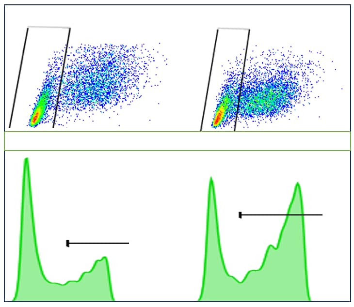 Amine Reactive Comp-Bead 2 Population Kit