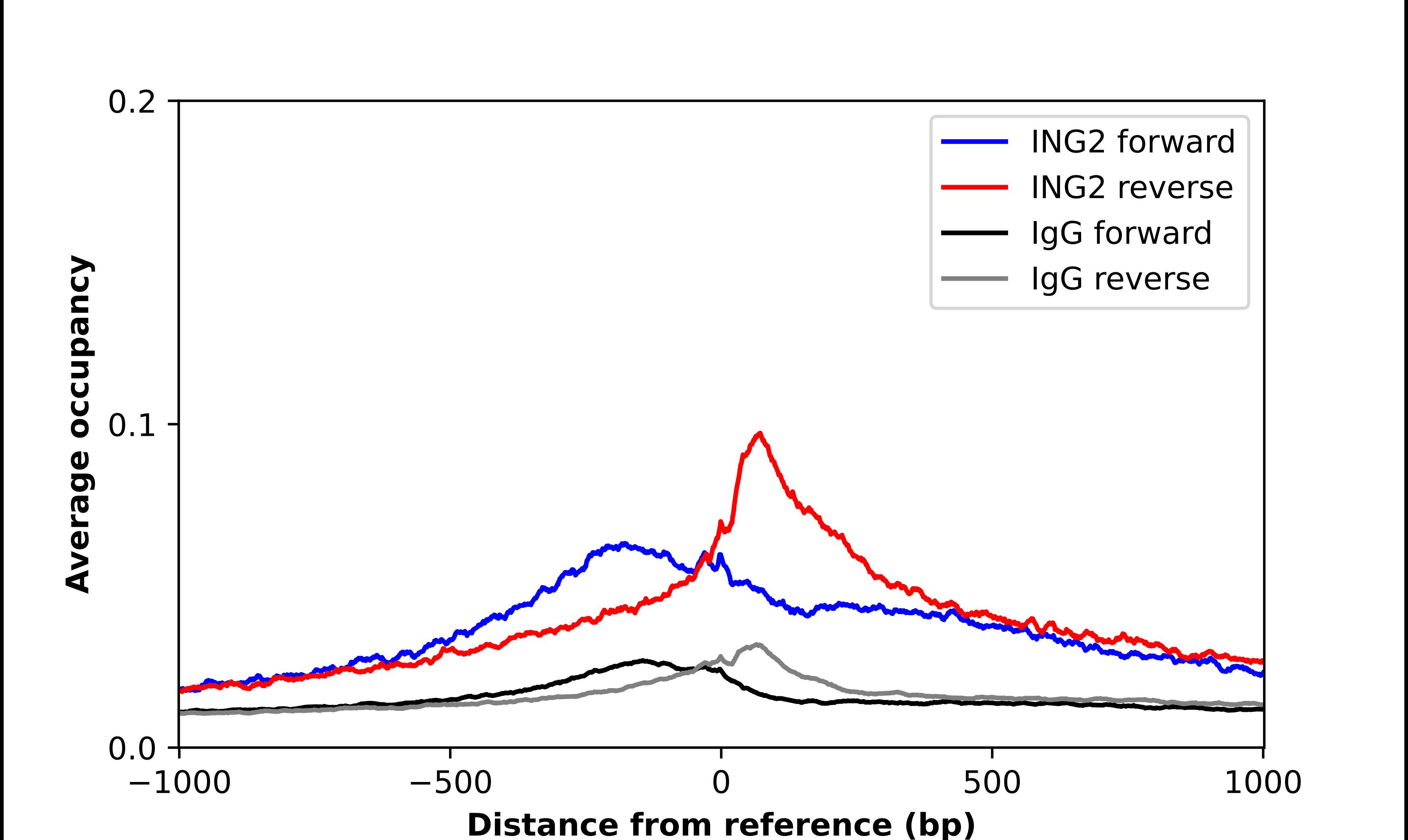 ING2 Antibody - BSA Free Chromatin Immunoprecipitation-exo-Seq: ING2 Antibody - BSA Free [NBP3-05515]