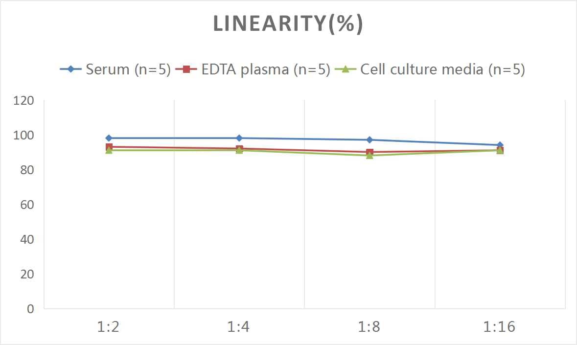 Rat HMGB1/HMG-1 ELISA Kit (Colorimetric)