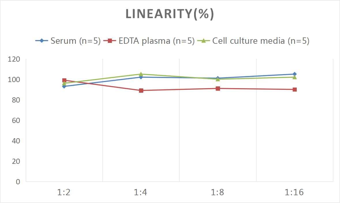 Mouse Calcitonin ELISA Kit (Colorimetric)