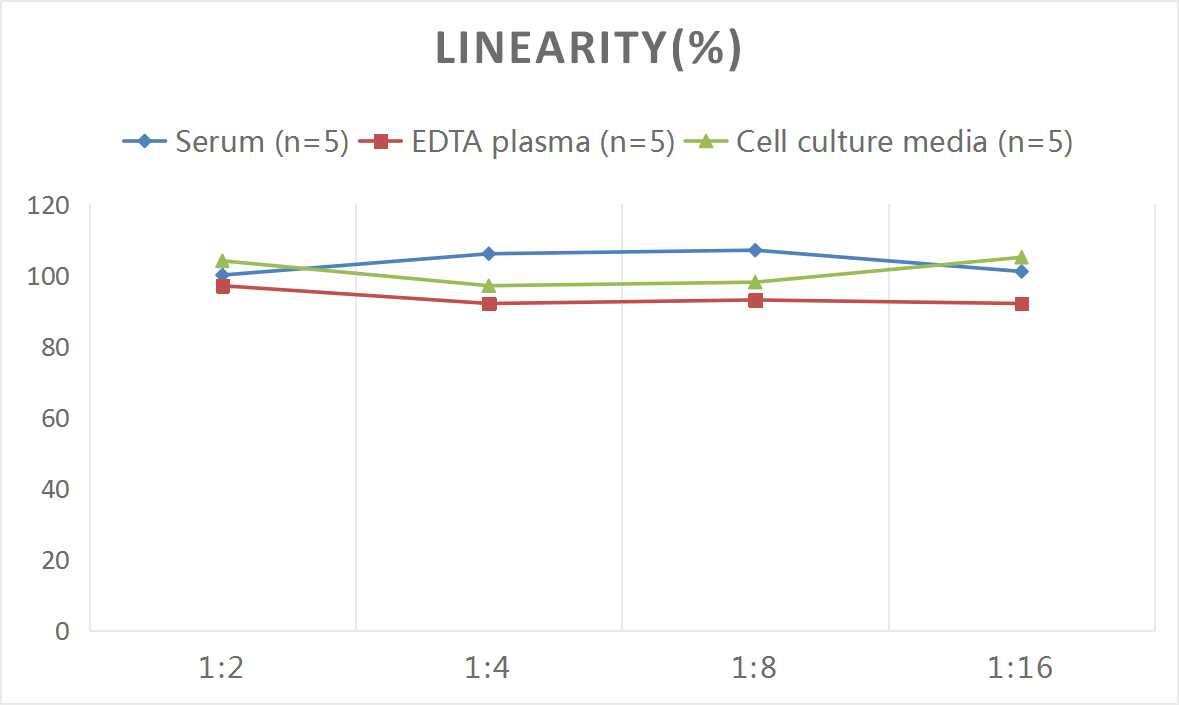 Rat Calcitonin ELISA Kit (Colorimetric)