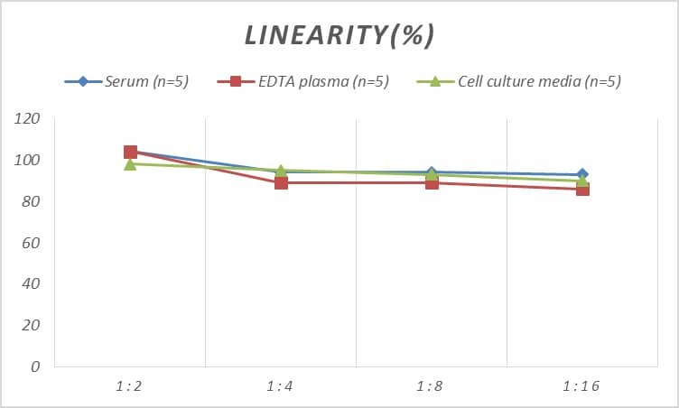 Mouse Chymotrypsin C/CTRC ELISA Kit (Colorimetric)