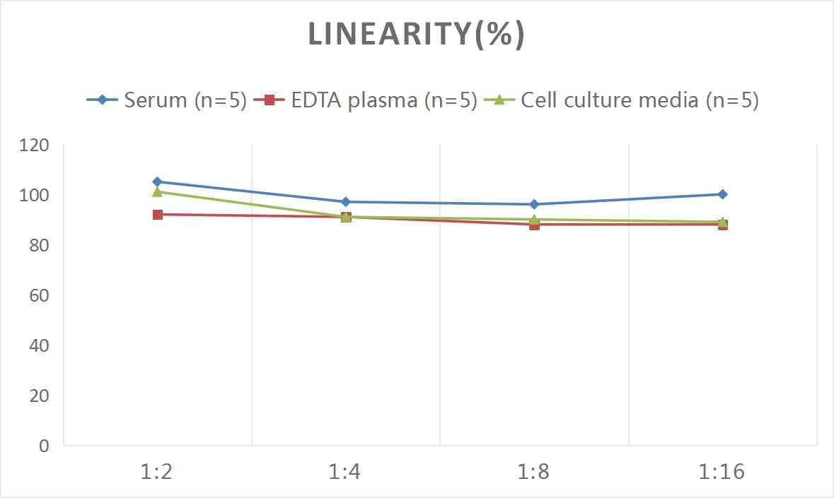 Rat Chymotrypsin C/CTRC ELISA Kit (Colorimetric)