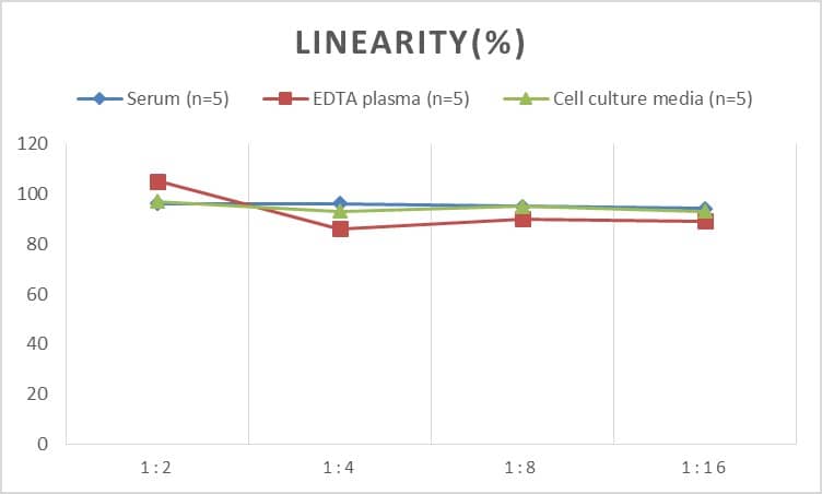 Mouse Cyclophilin-F ELISA Kit (Colorimetric)