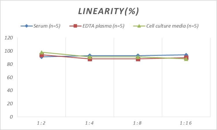 Rat IL-12/IL-23 p40 ELISA Kit (Colorimetric)