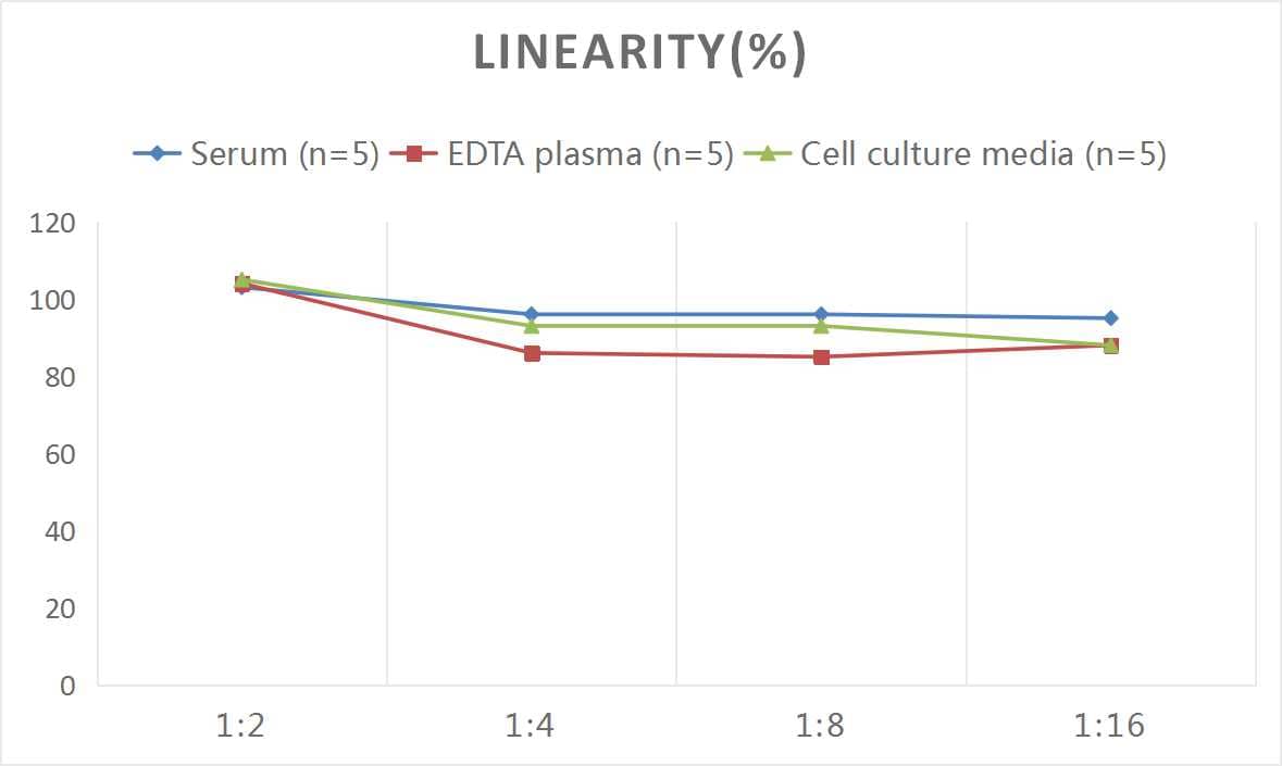 Mouse IL-12/IL-35 p35 ELISA Kit (Colorimetric)