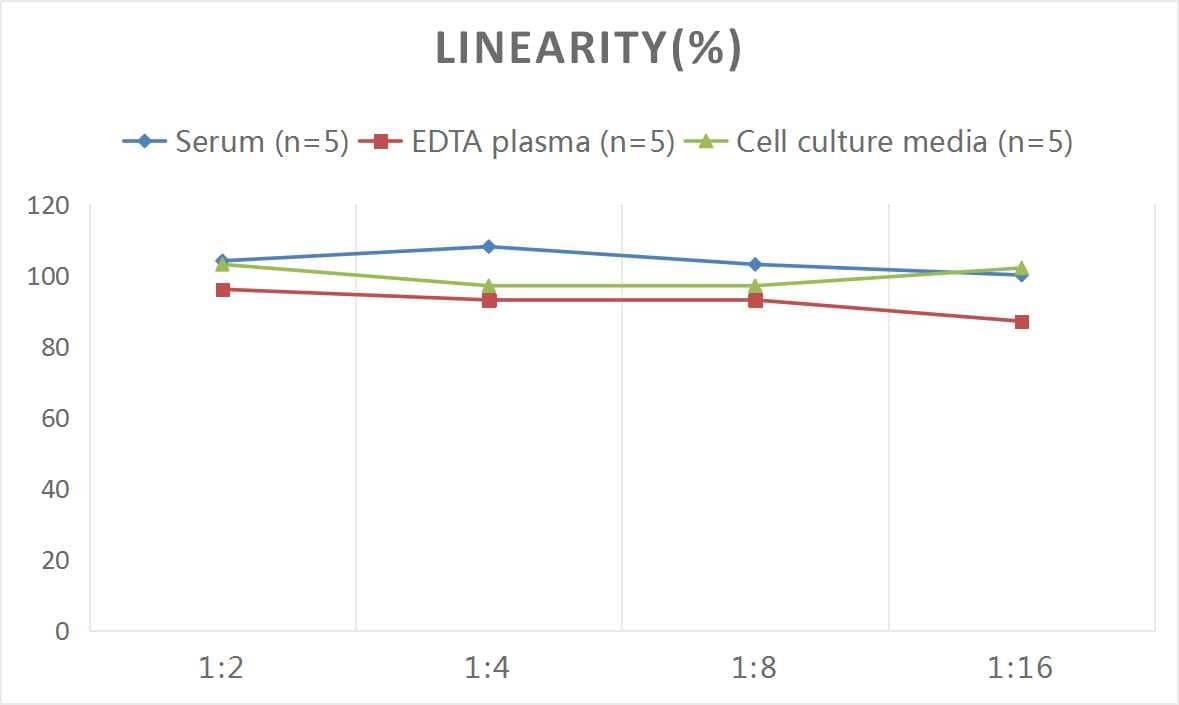 Human IL-24 ELISA Kit (Colorimetric)