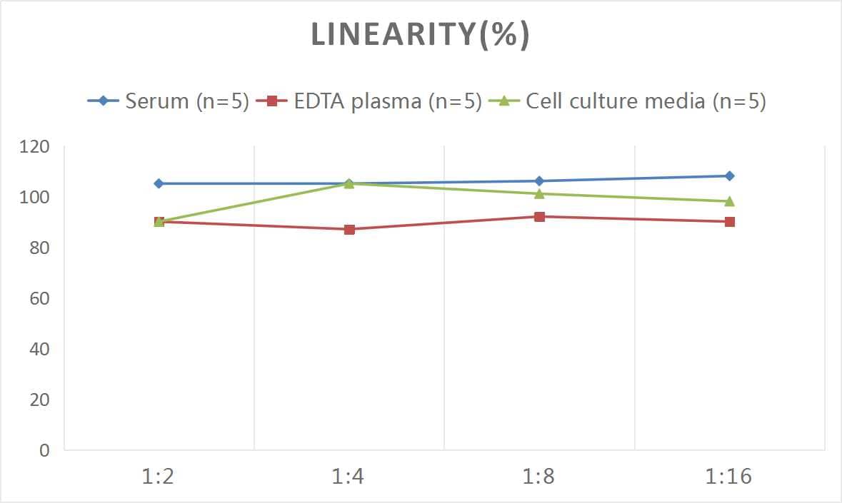 Mouse IL-24 ELISA Kit (Colorimetric)