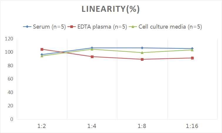 Human IL-12 ELISA Kit (Colorimetric)