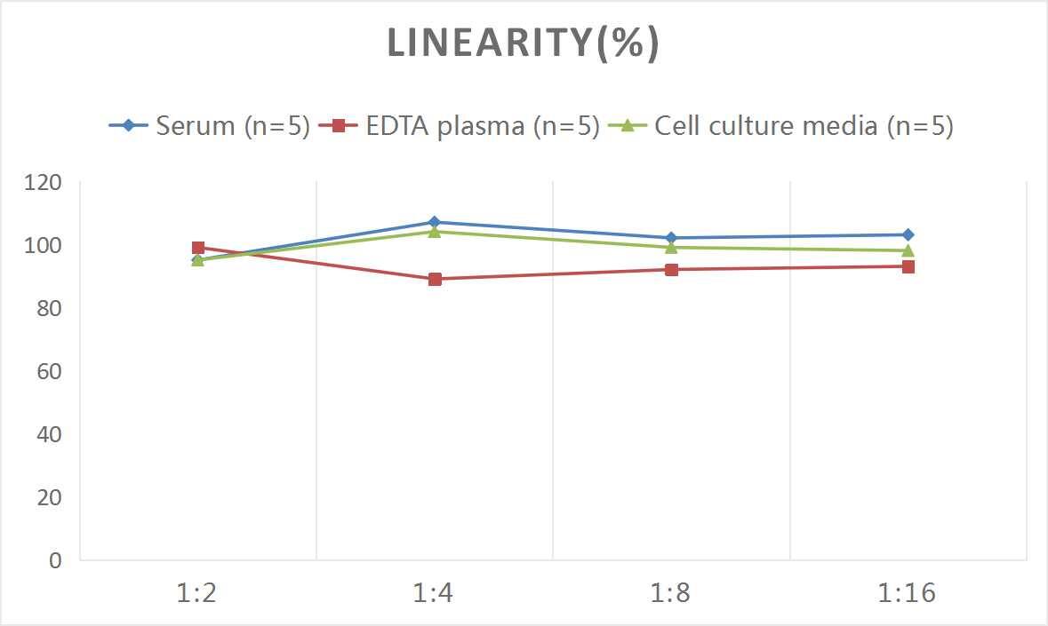 Rat IL-12 ELISA Kit (Colorimetric)