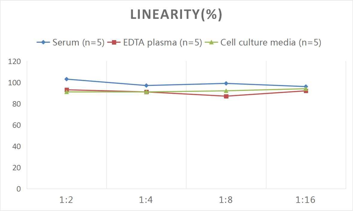 Mouse IL-35 ELISA Kit (Colorimetric)