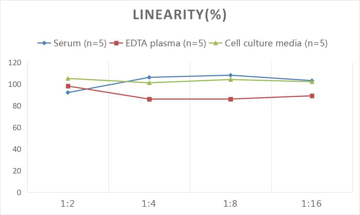 Rat IFN-beta ELISA Kit (Colorimetric)