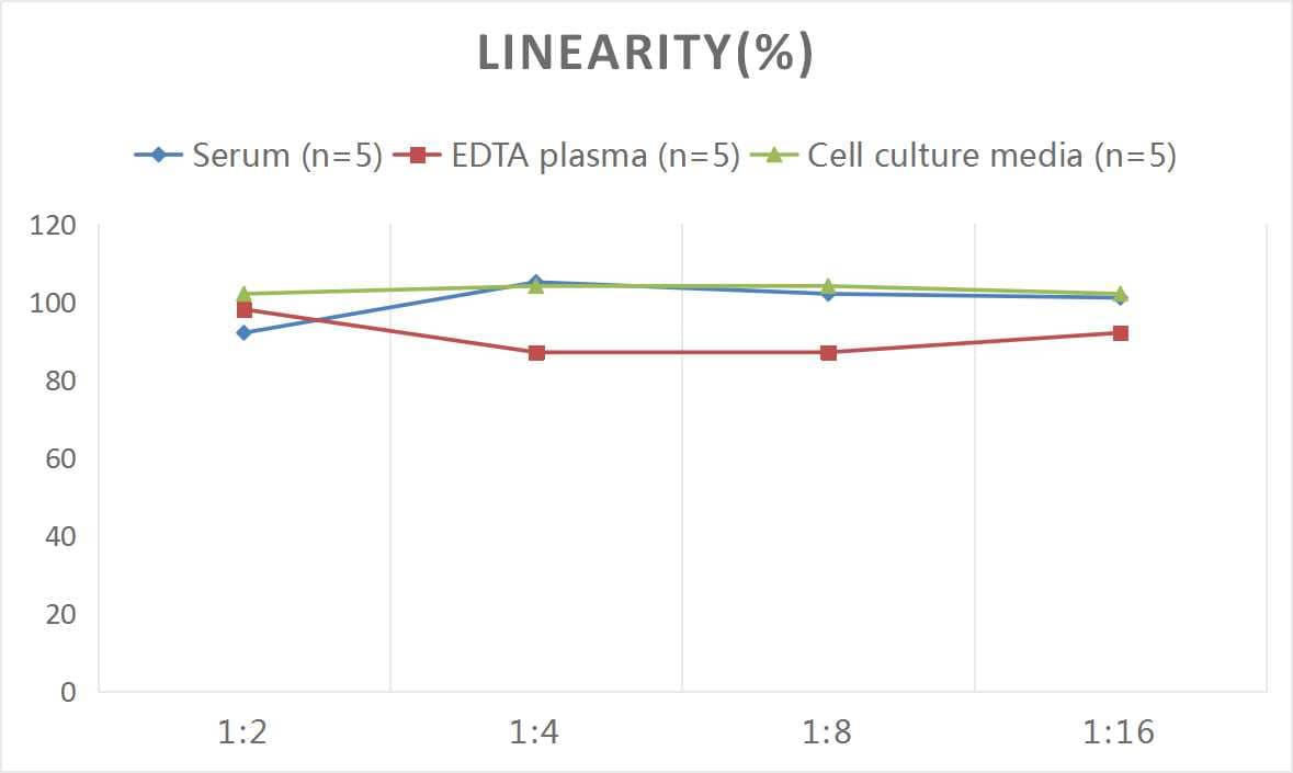 Rat Angiopoietin-1 ELISA Kit (Colorimetric)