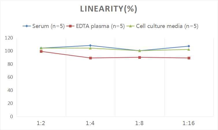 Human Calcitonin ELISA Kit (Colorimetric)