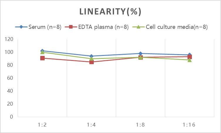 Rabbit CXCL8/IL-8 ELISA Kit (Colorimetric)