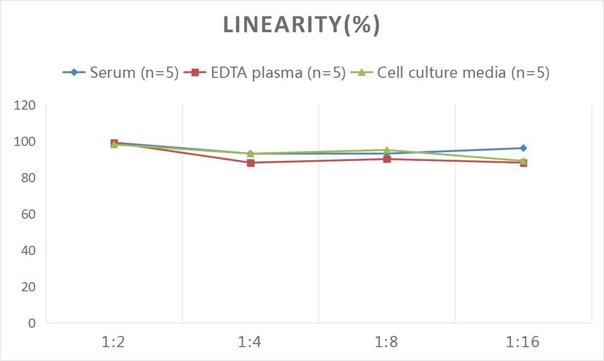 Monkey IFN-beta ELISA Kit (Colorimetric)