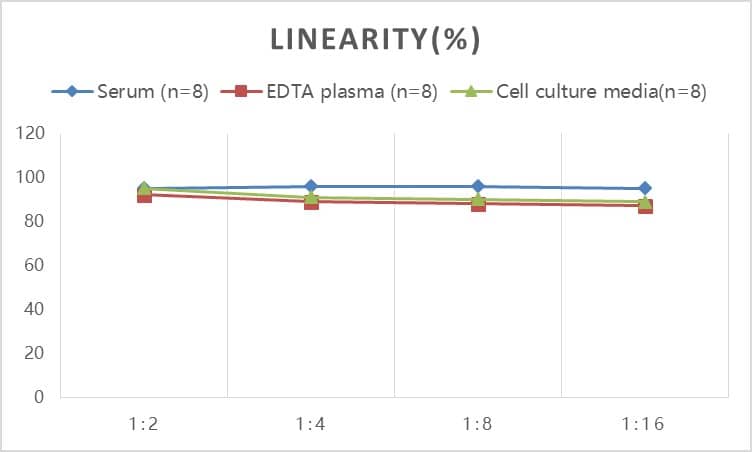 Rabbit IFN-gamma ELISA Kit (Colorimetric)