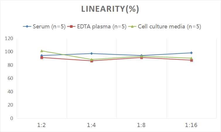 Human MMP-12 ELISA Kit (Colorimetric)